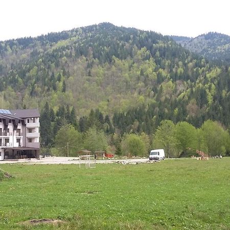 Pensiunea Poiana Soarelui Brates Bagian luar foto