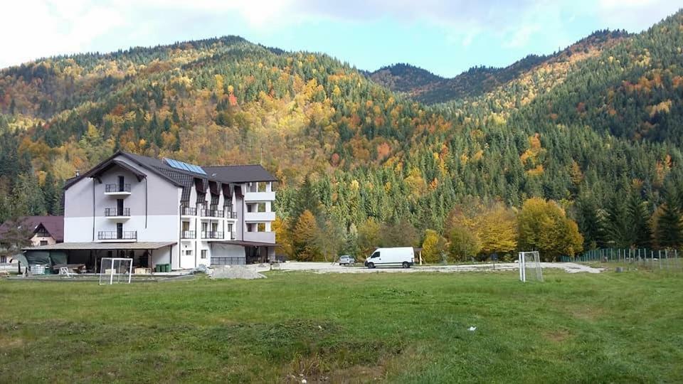 Pensiunea Poiana Soarelui Brates Bagian luar foto