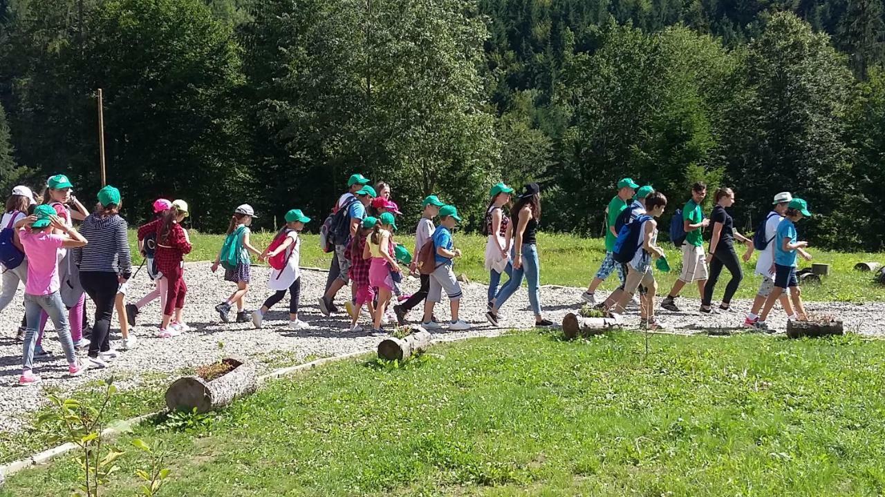 Pensiunea Poiana Soarelui Brates Bagian luar foto