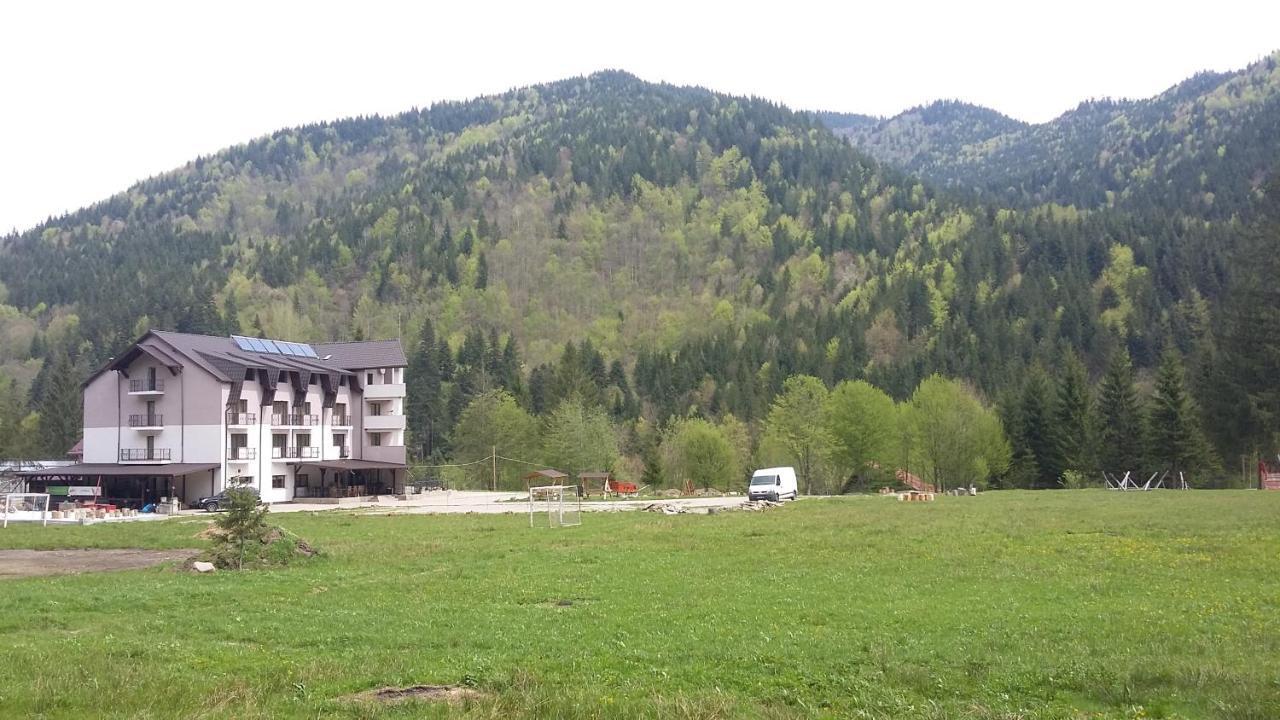 Pensiunea Poiana Soarelui Brates Bagian luar foto