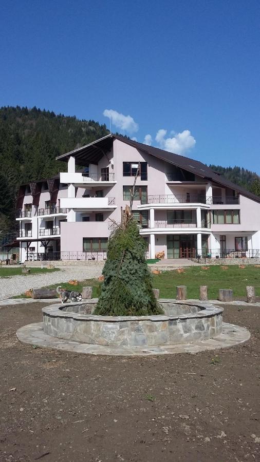 Pensiunea Poiana Soarelui Brates Bagian luar foto
