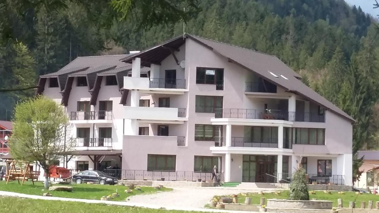 Pensiunea Poiana Soarelui Brates Bagian luar foto