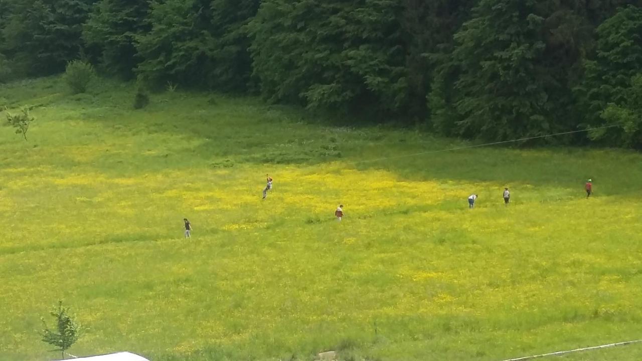 Pensiunea Poiana Soarelui Brates Bagian luar foto