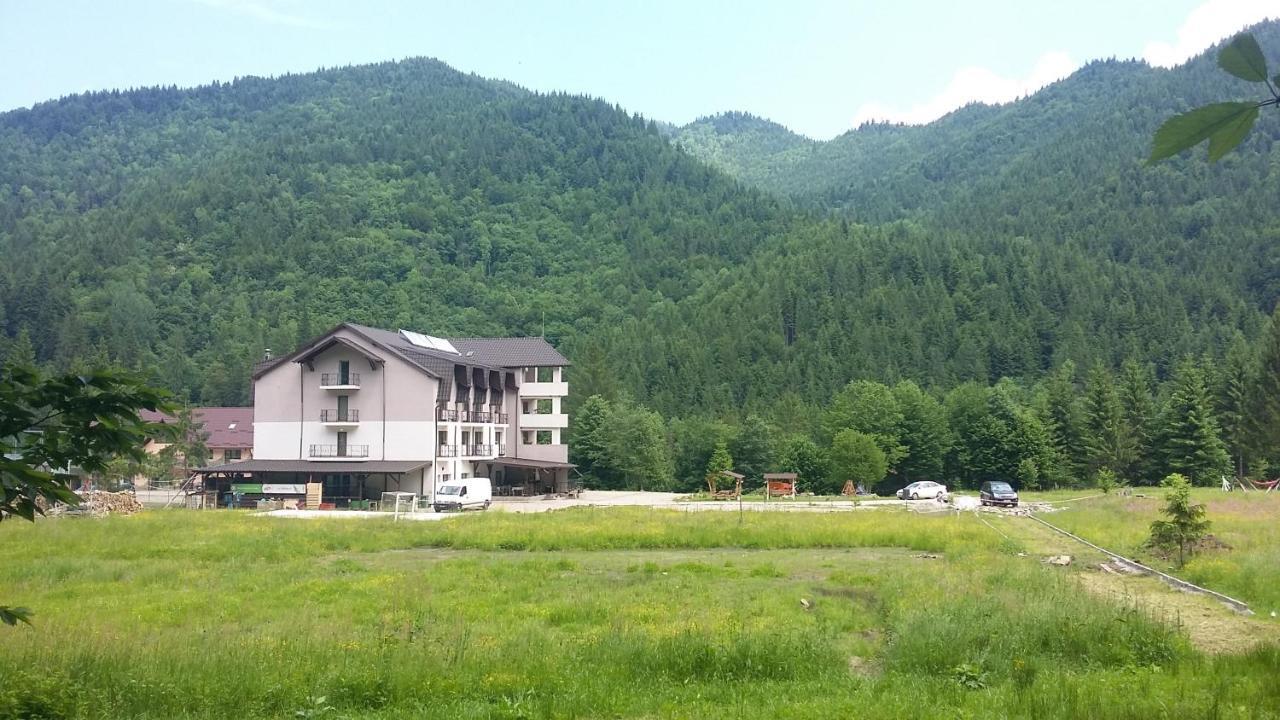 Pensiunea Poiana Soarelui Brates Bagian luar foto